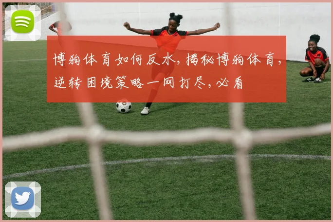 博狗体育如何反水,揭秘博狗体育,逆转困境策略一网打尽,必看